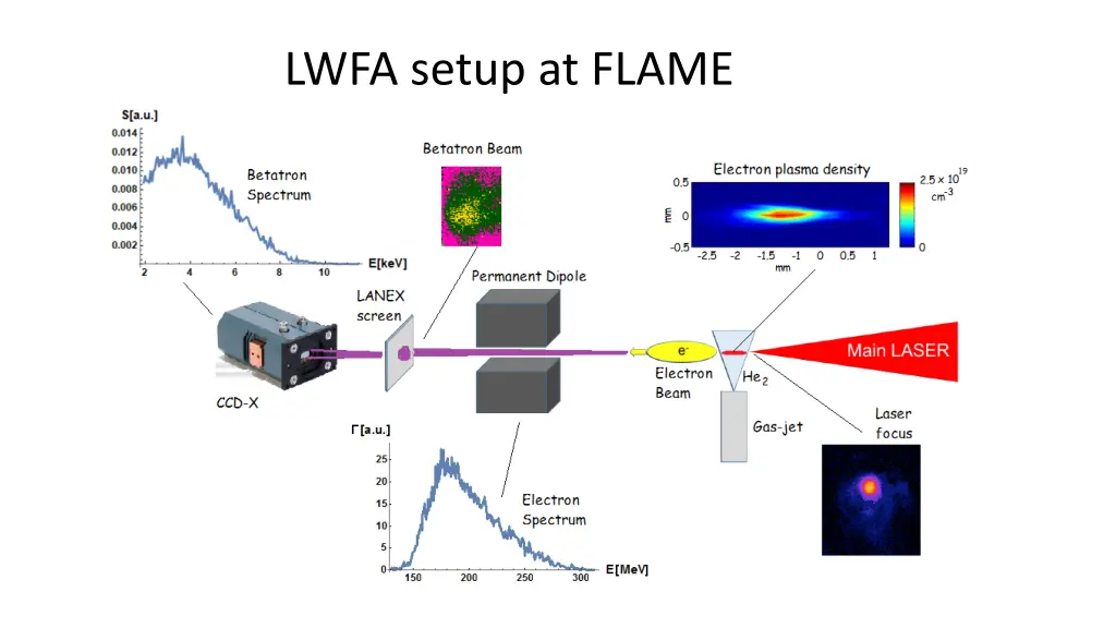 lwfa setup at flame