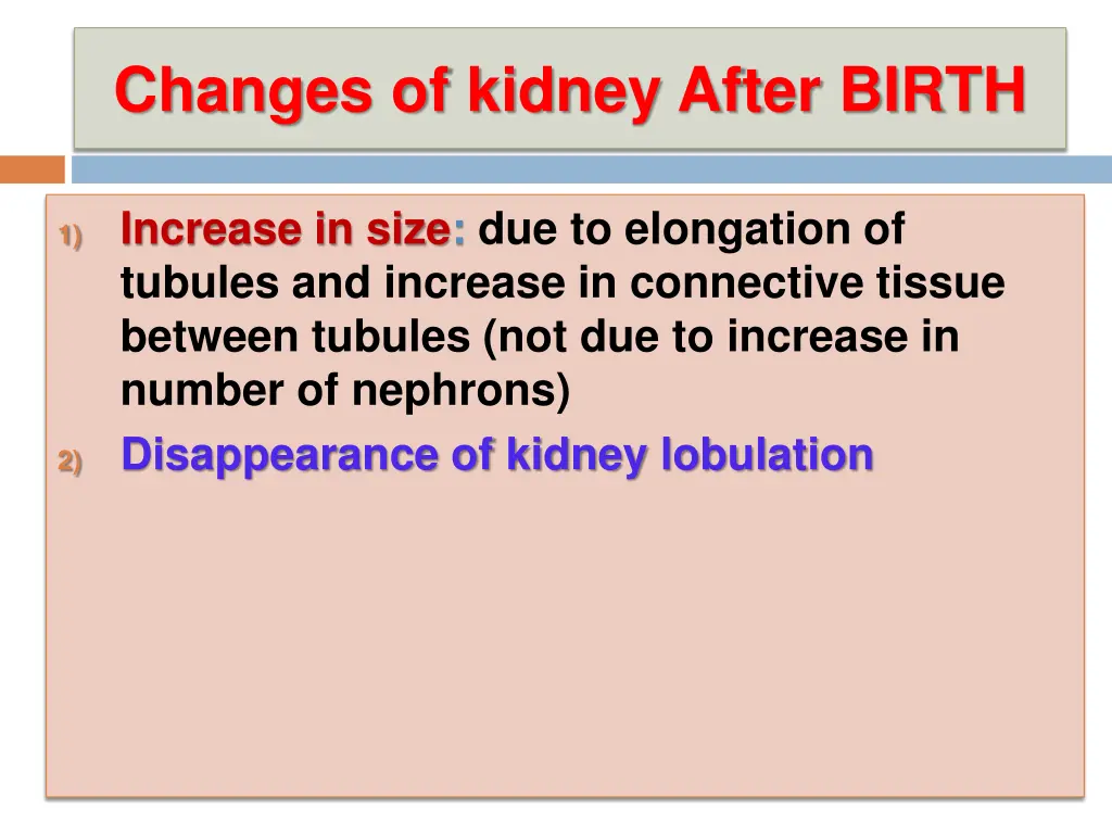 changes of kidney after birth