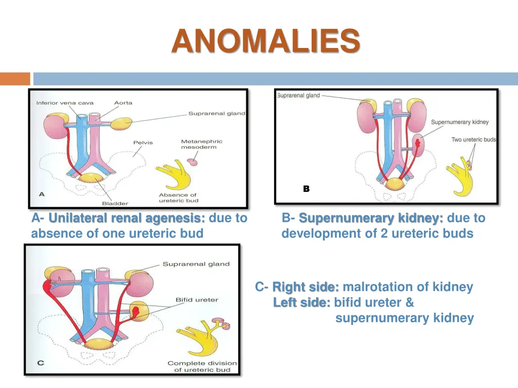 anomalies 1