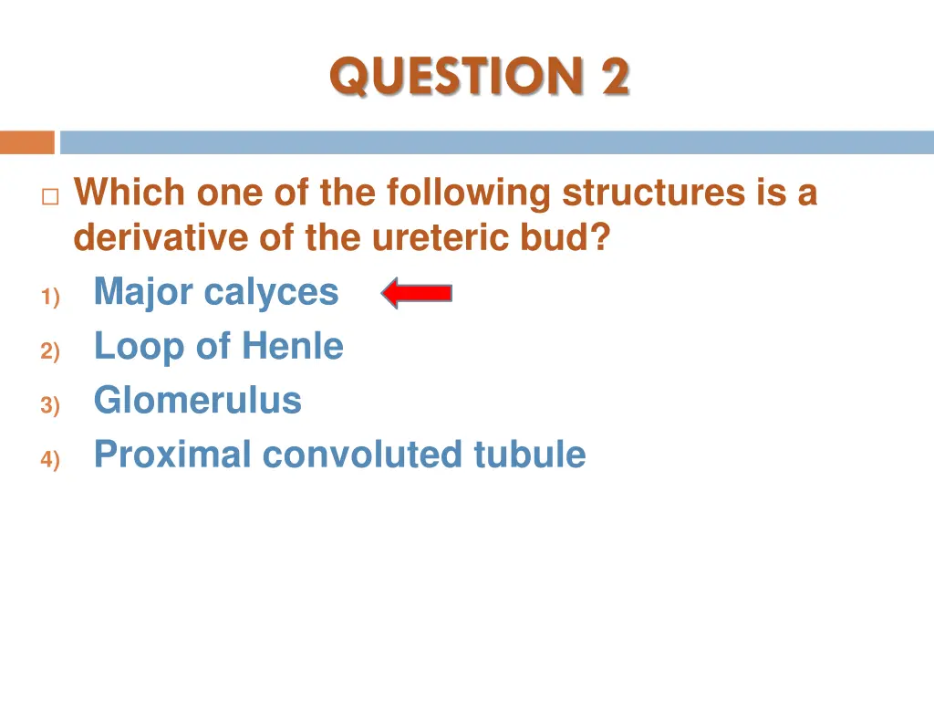 question 2