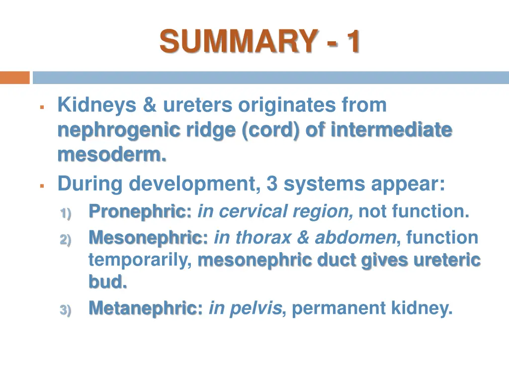 summary 1