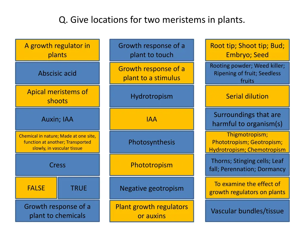 q give locations for two meristems in plants