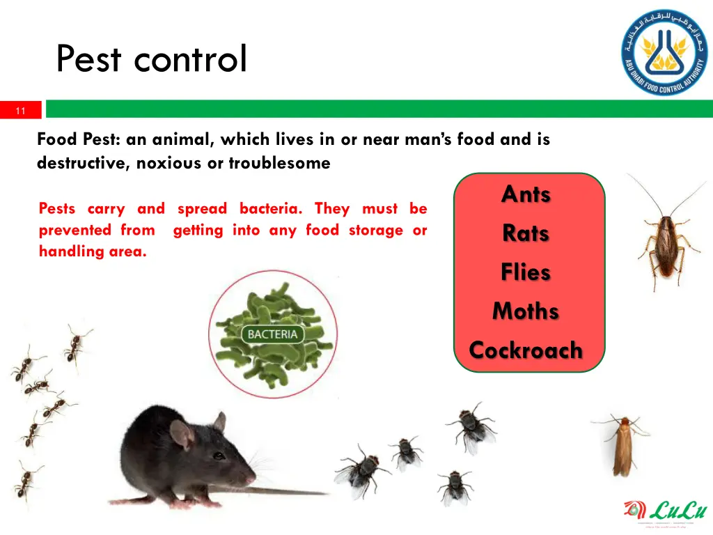 pest control