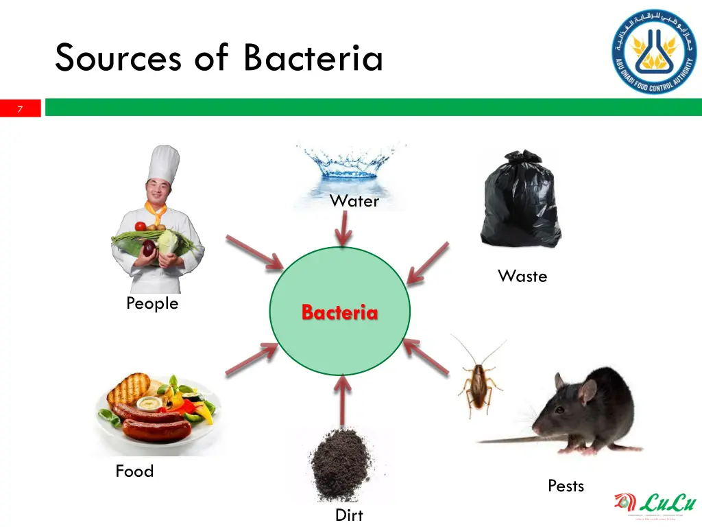 sources of bacteria