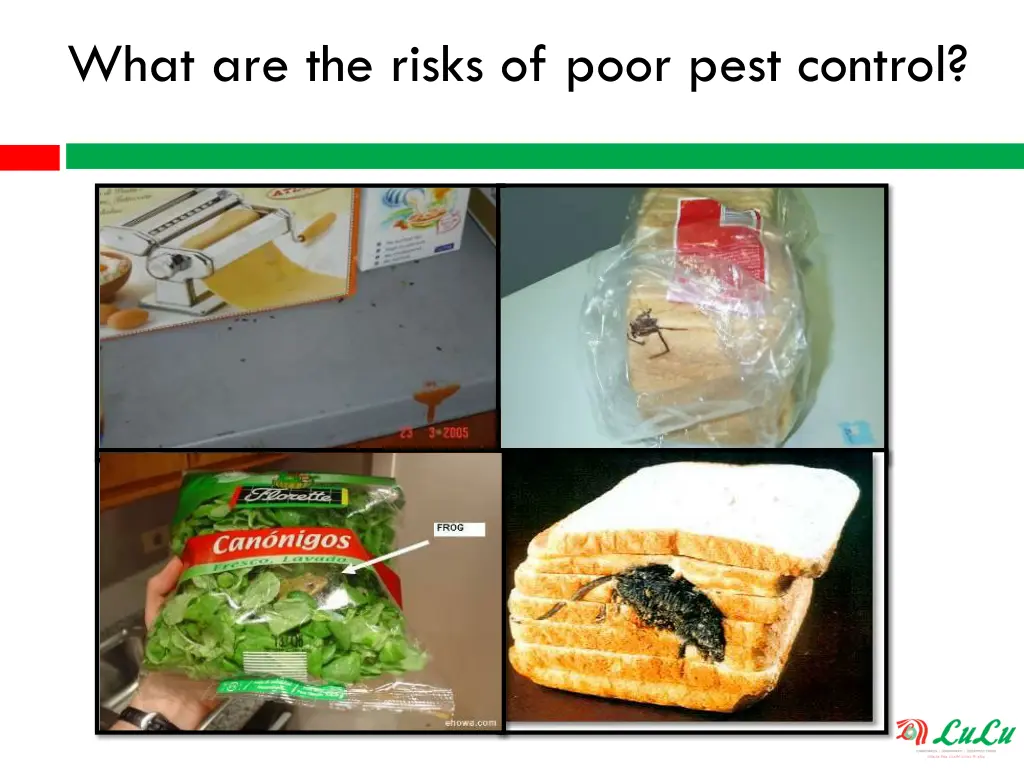 what are the risks of poor pest control