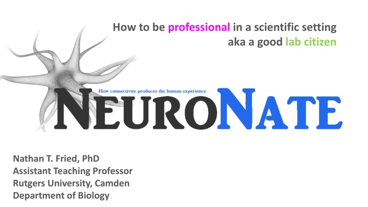 how to be professional in a scientific setting