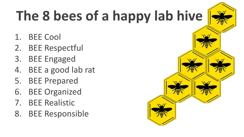 the 8 bees of a happy lab hive 1