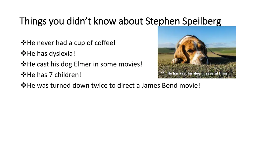 things you didn t know about stephen things