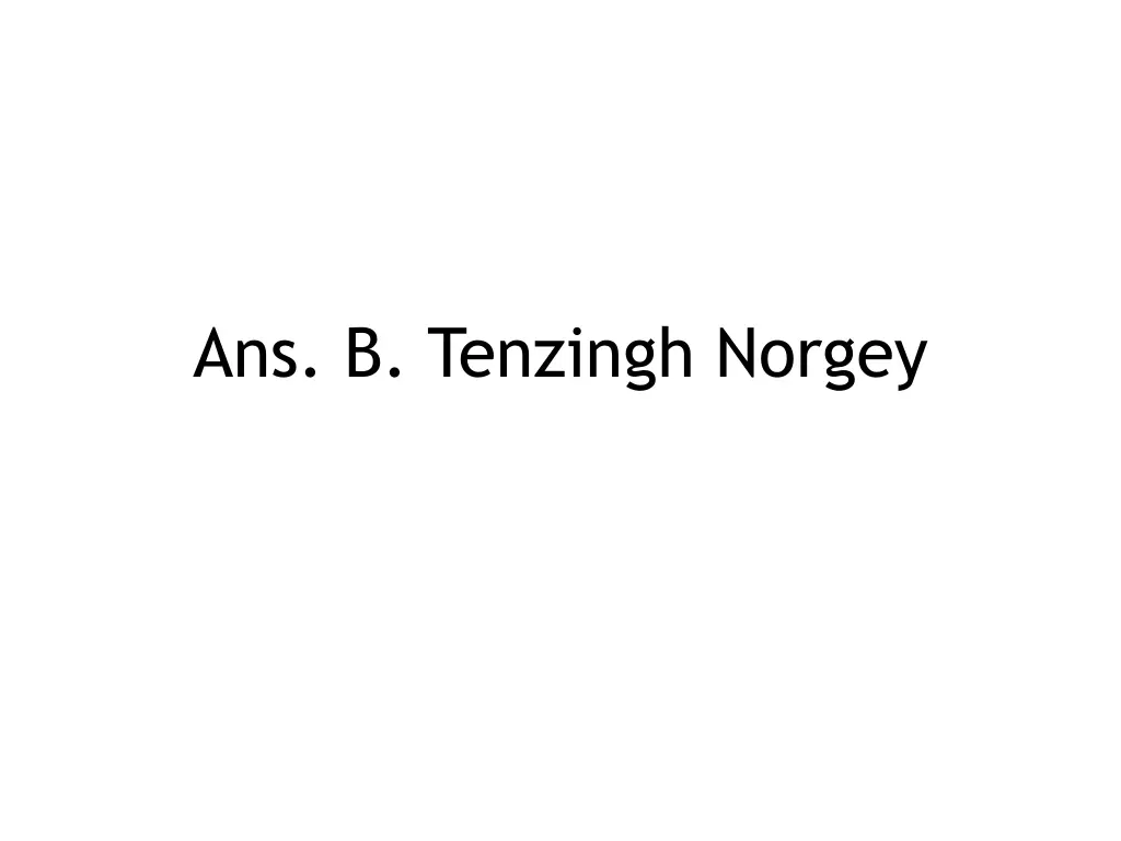 ans b tenzingh norgey