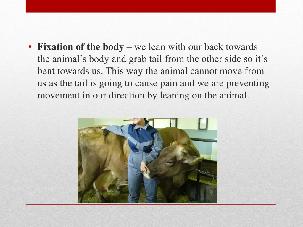 fixation of the body we lean with our back