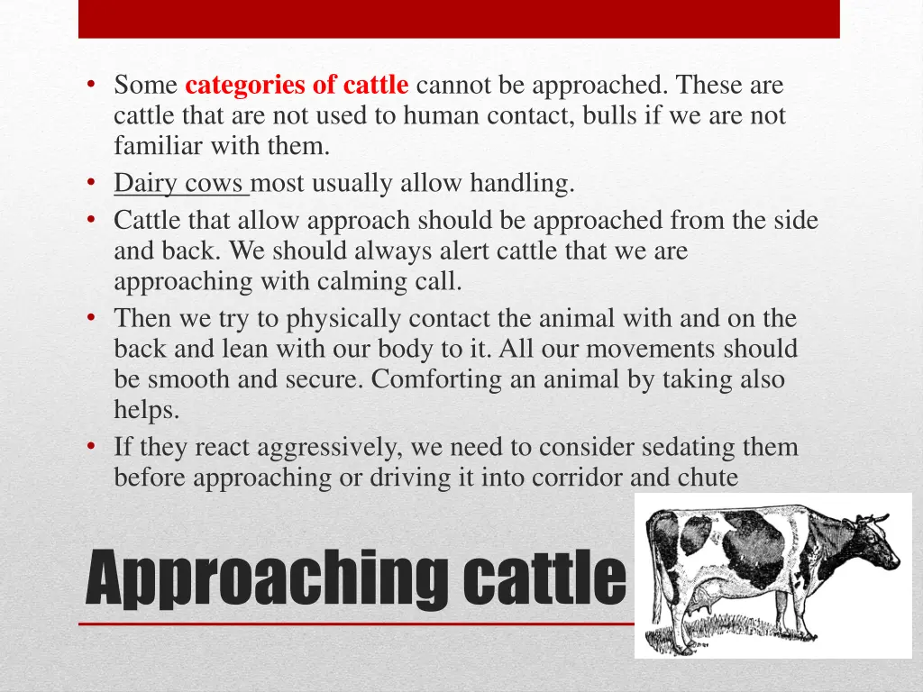 some categories of cattle cannot be approached