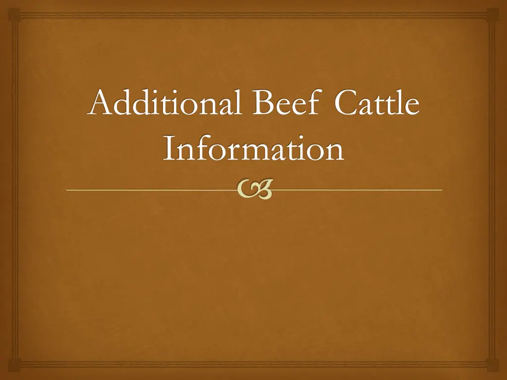 additional beef cattle information