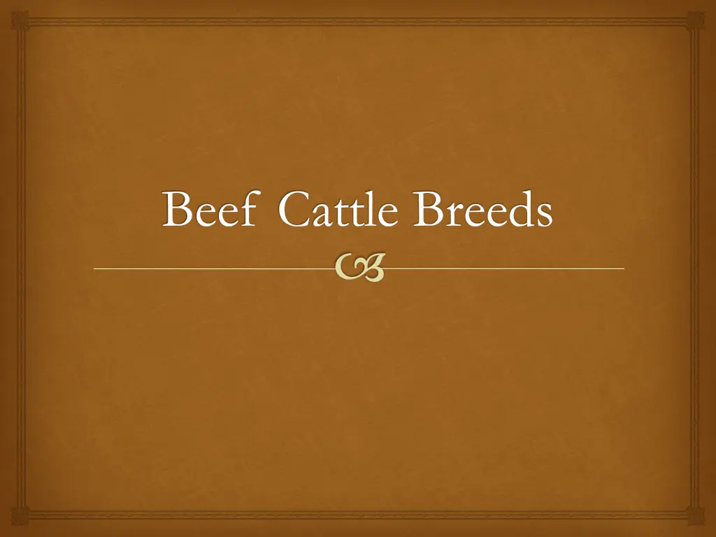 beef cattle breeds