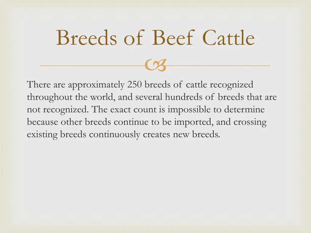 breeds of beef cattle