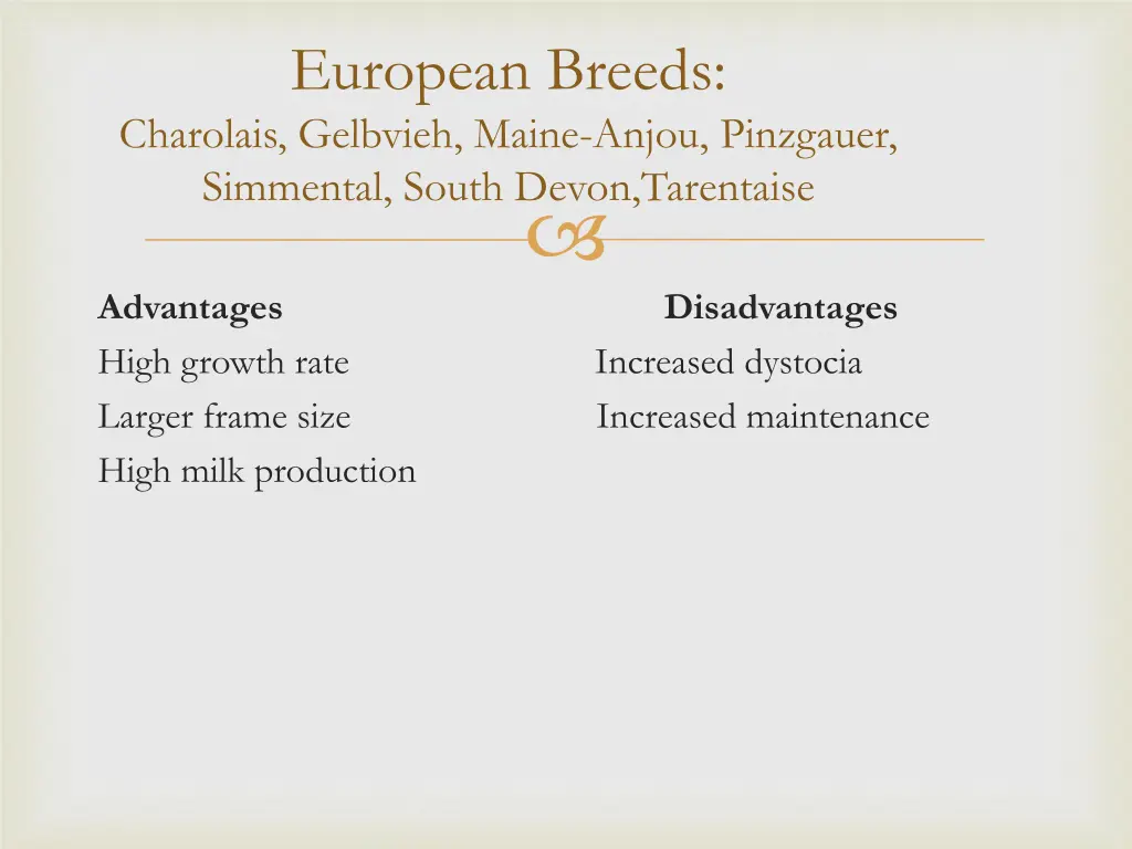 european breeds charolais gelbvieh maine anjou