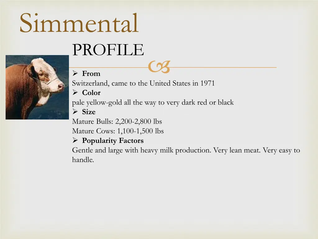 simmental profile