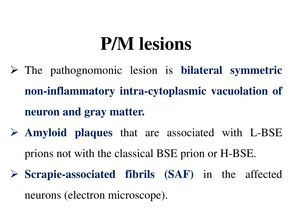 p m lesions