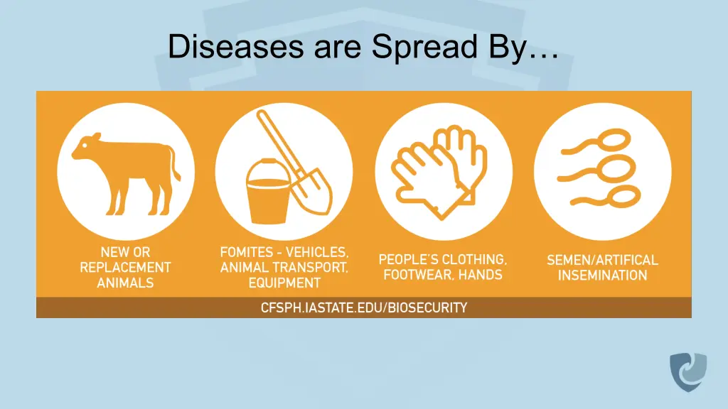 diseases are spread by