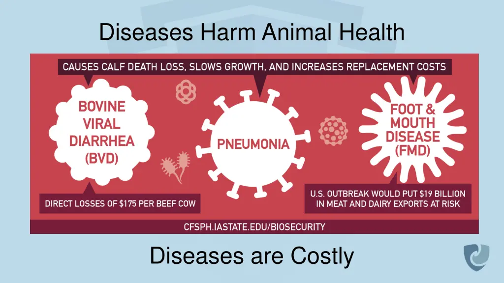 diseases harm animal health