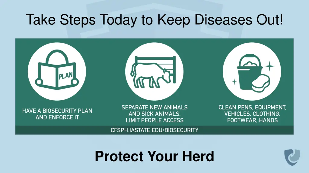 take steps today to keep diseases out