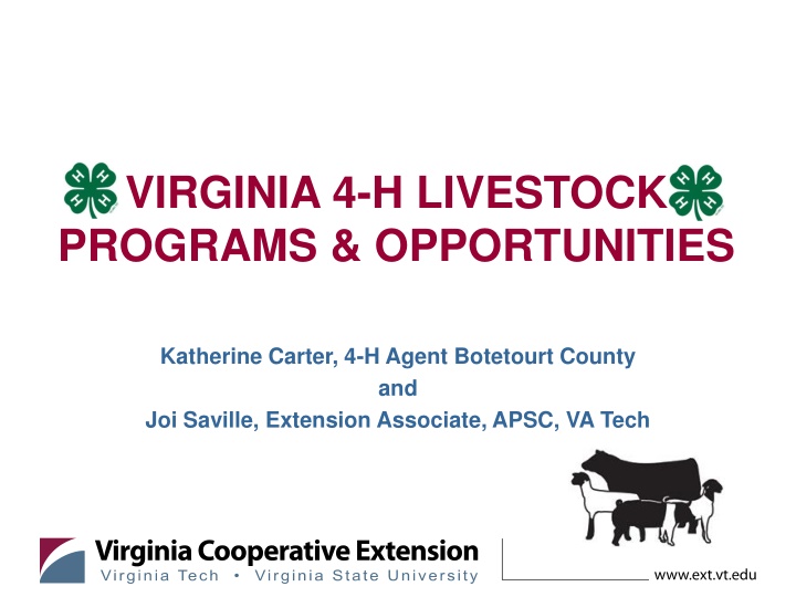 virginia 4 h livestock programs opportunities