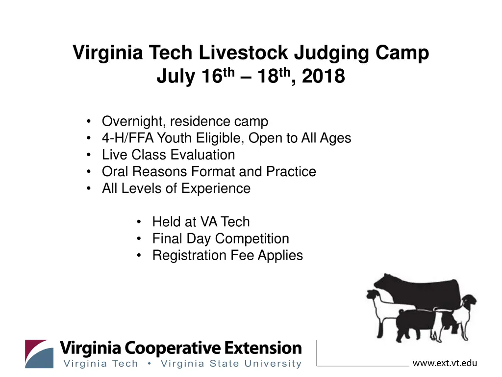 virginia tech livestock judging camp july