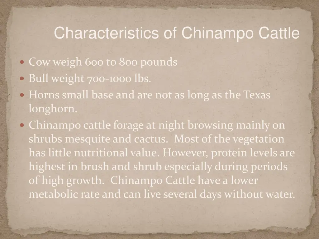 characteristics of chinampo cattle