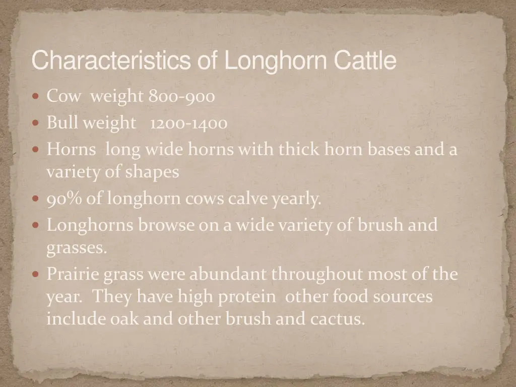 characteristics of longhorn cattle