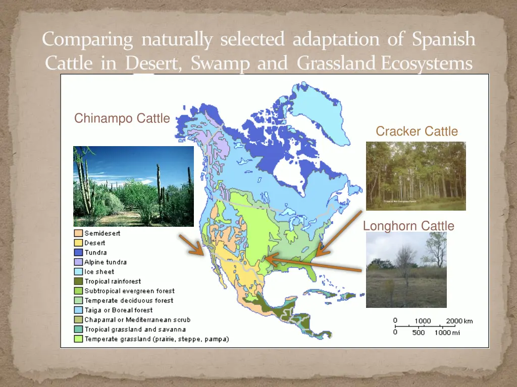 comparing naturally selected adaptation