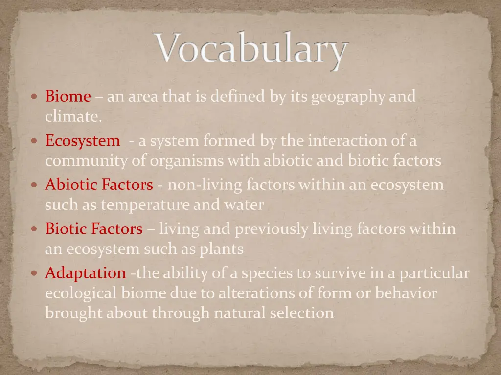 vocabulary