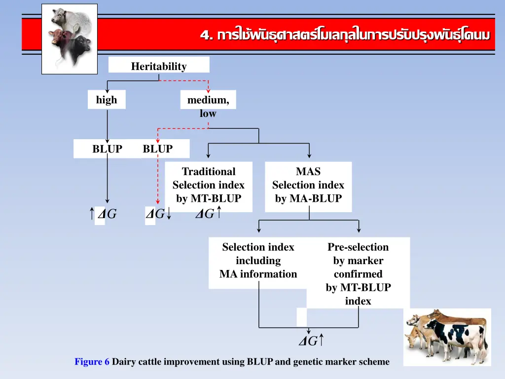 slide12