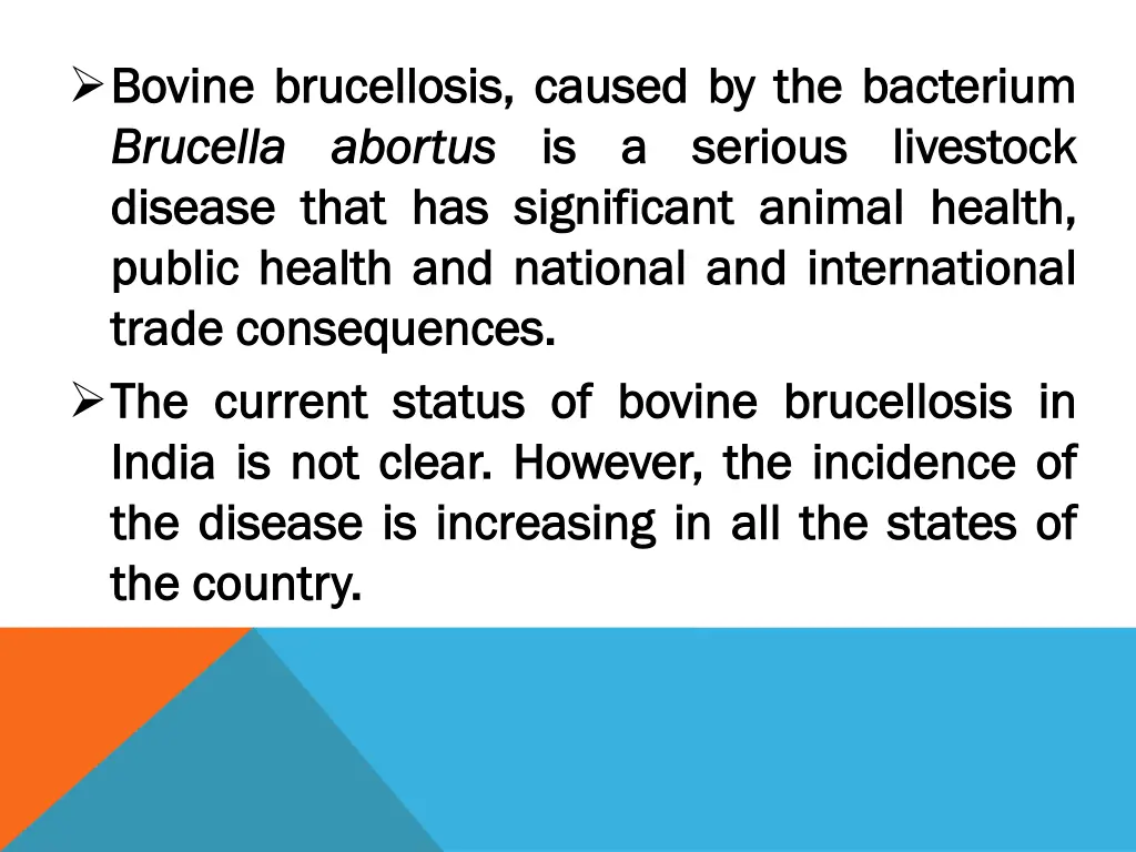 bovine bovine brucellosis brucellosis caused