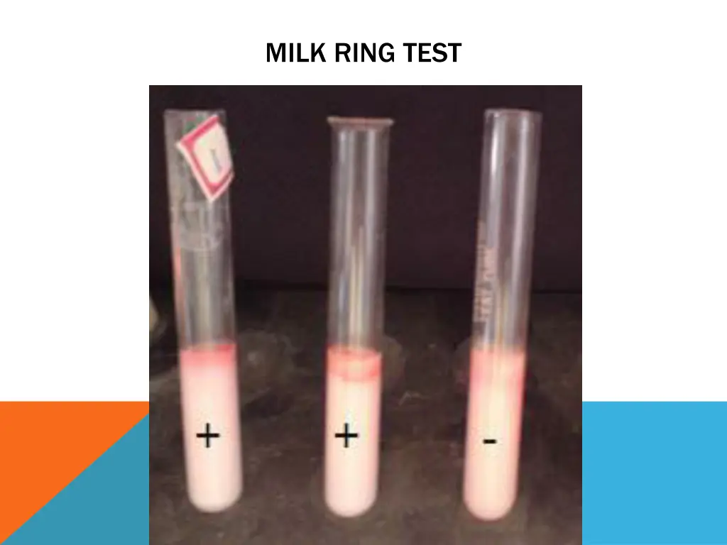 milk ring test