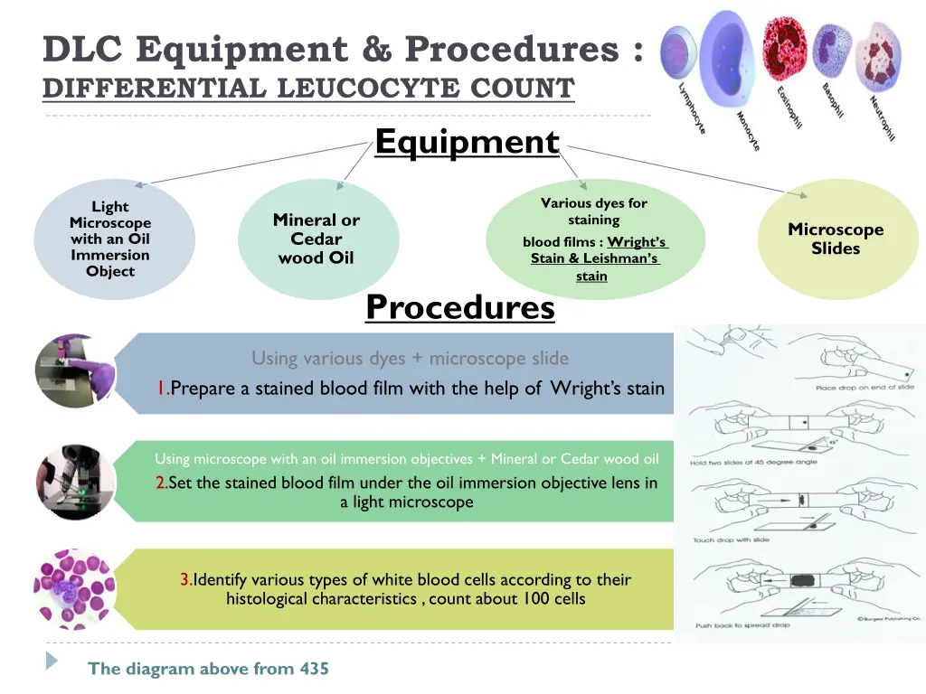 dlc equipment procedures differential leucocyte