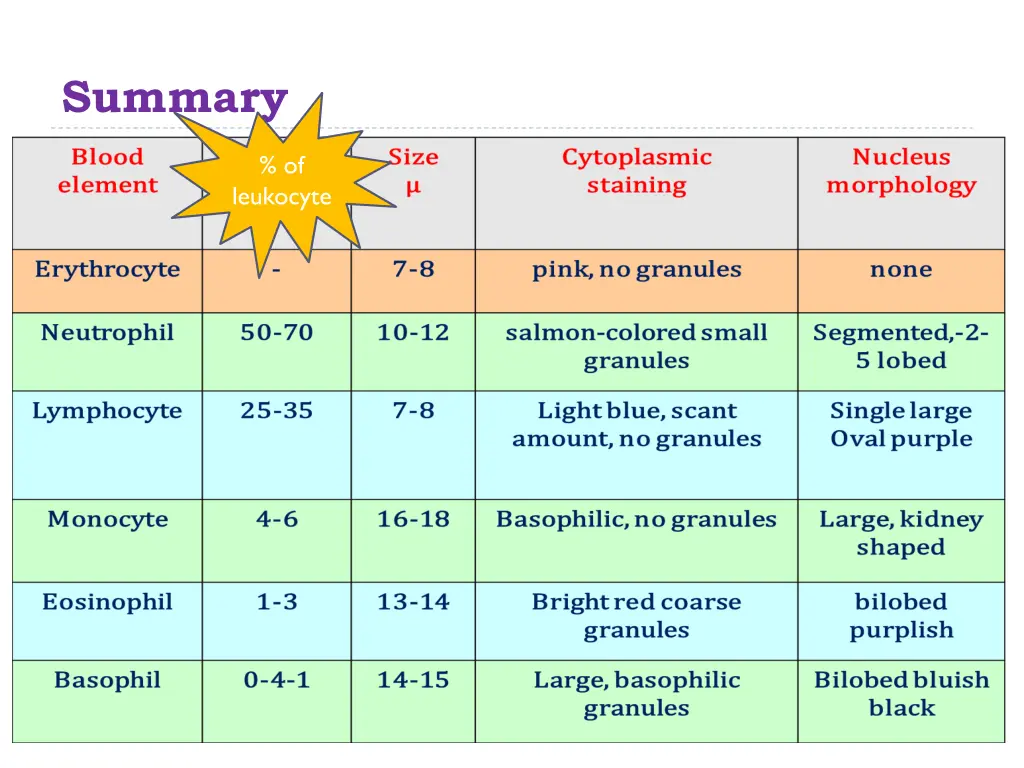 summary 1