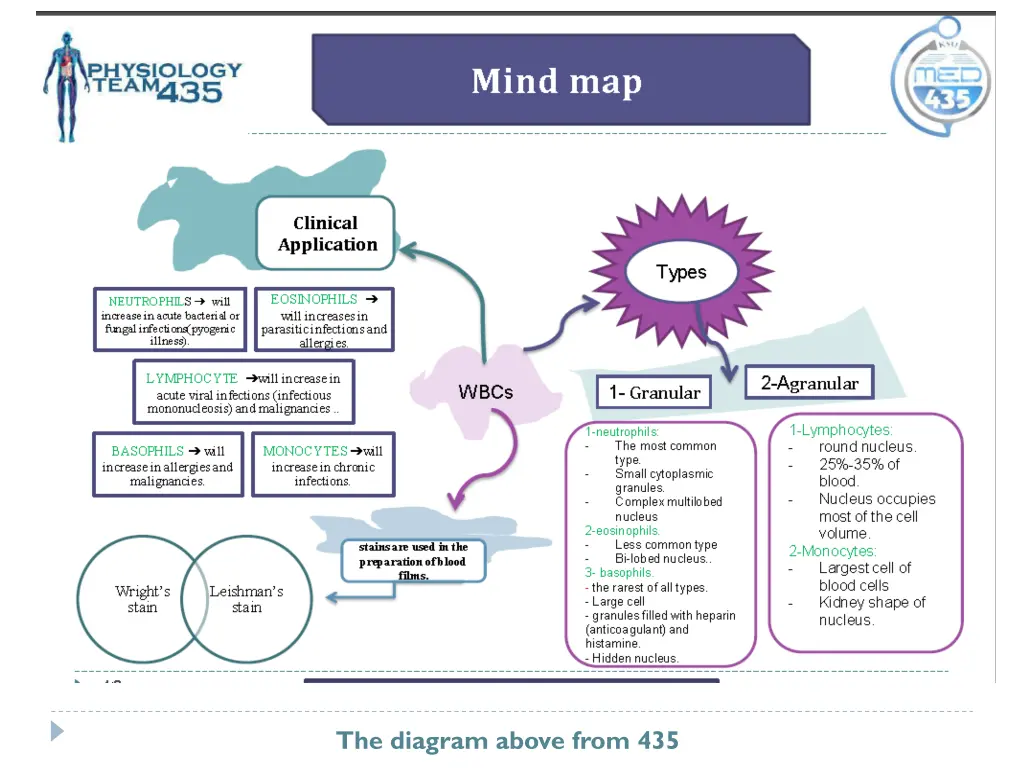 the diagram above from 435