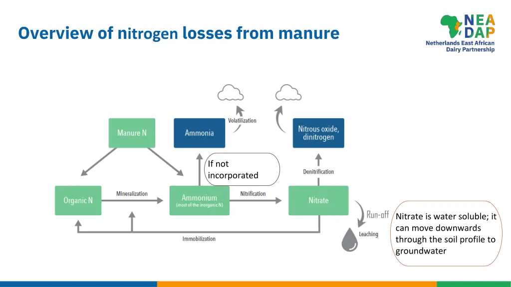 overview of n itrogen losses from manure