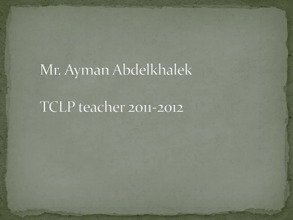 mr ayman abdelkhalek