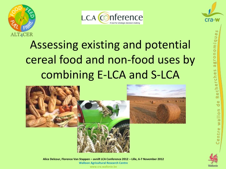 assessing existing and potential cereal food