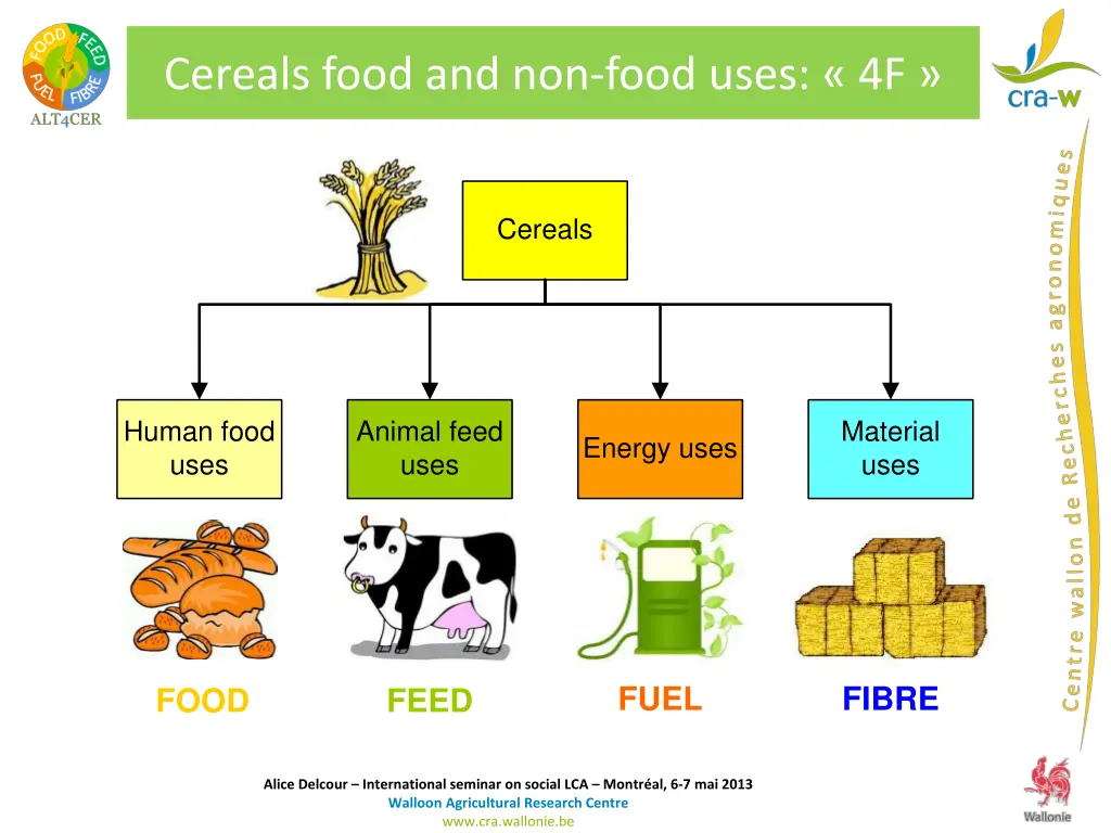 cereals food and non food uses 4f