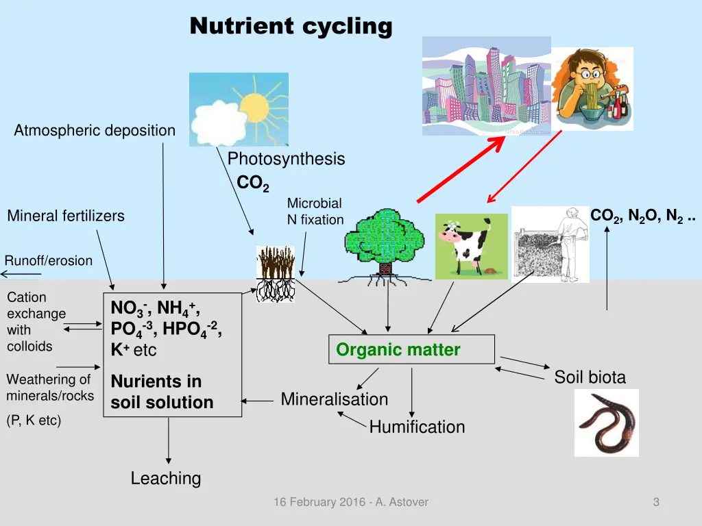 nutrient cycling