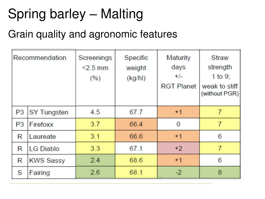 spring barley malting