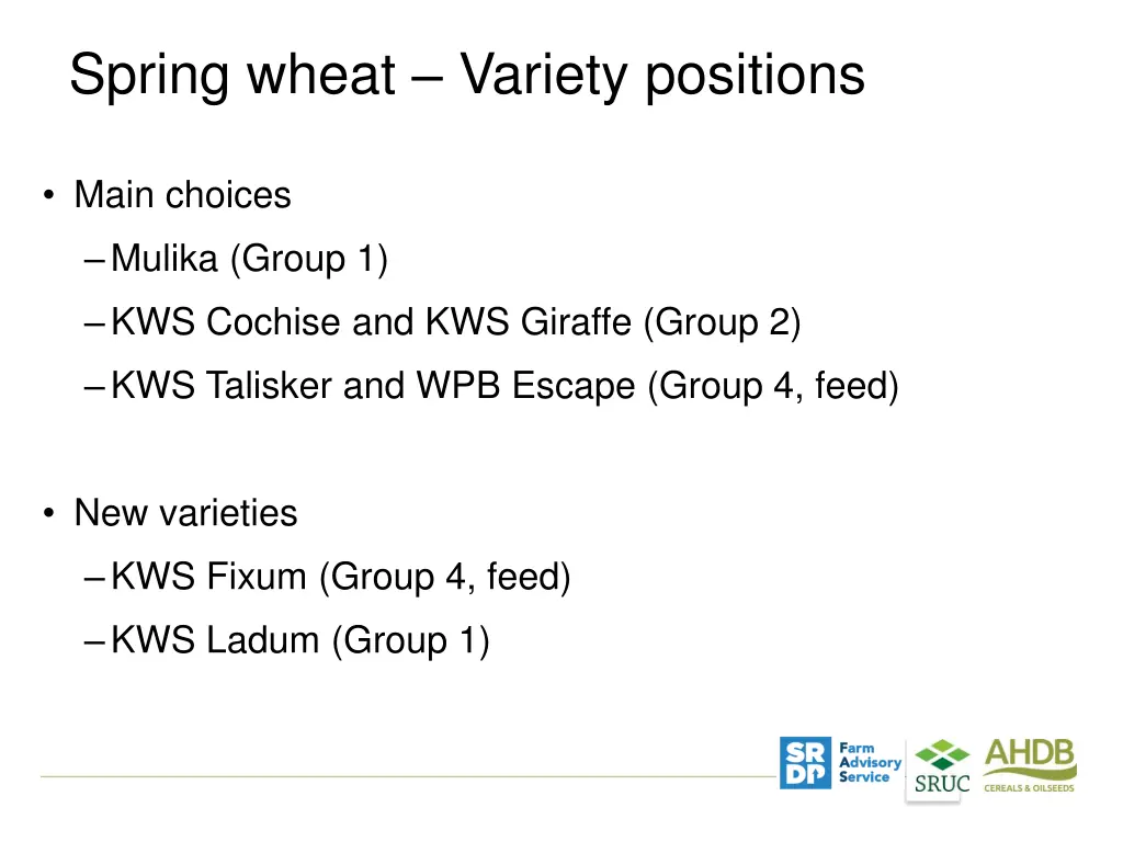 spring wheat variety positions main choices