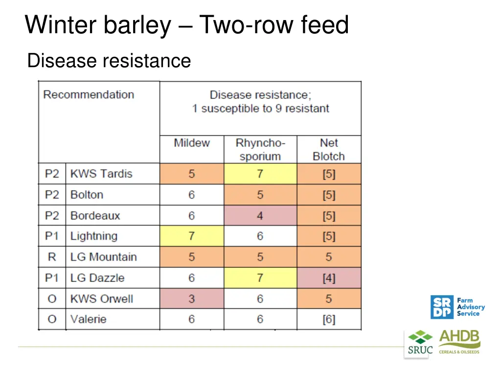 winter barley two row feed 1