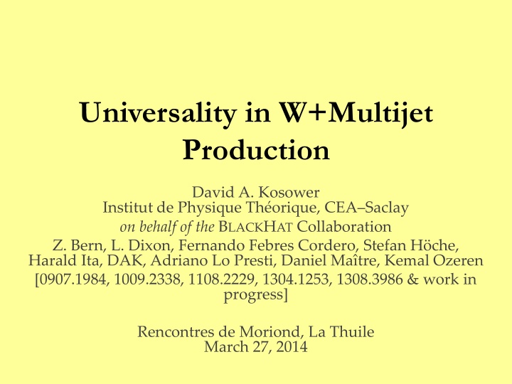 universality in w multijet production