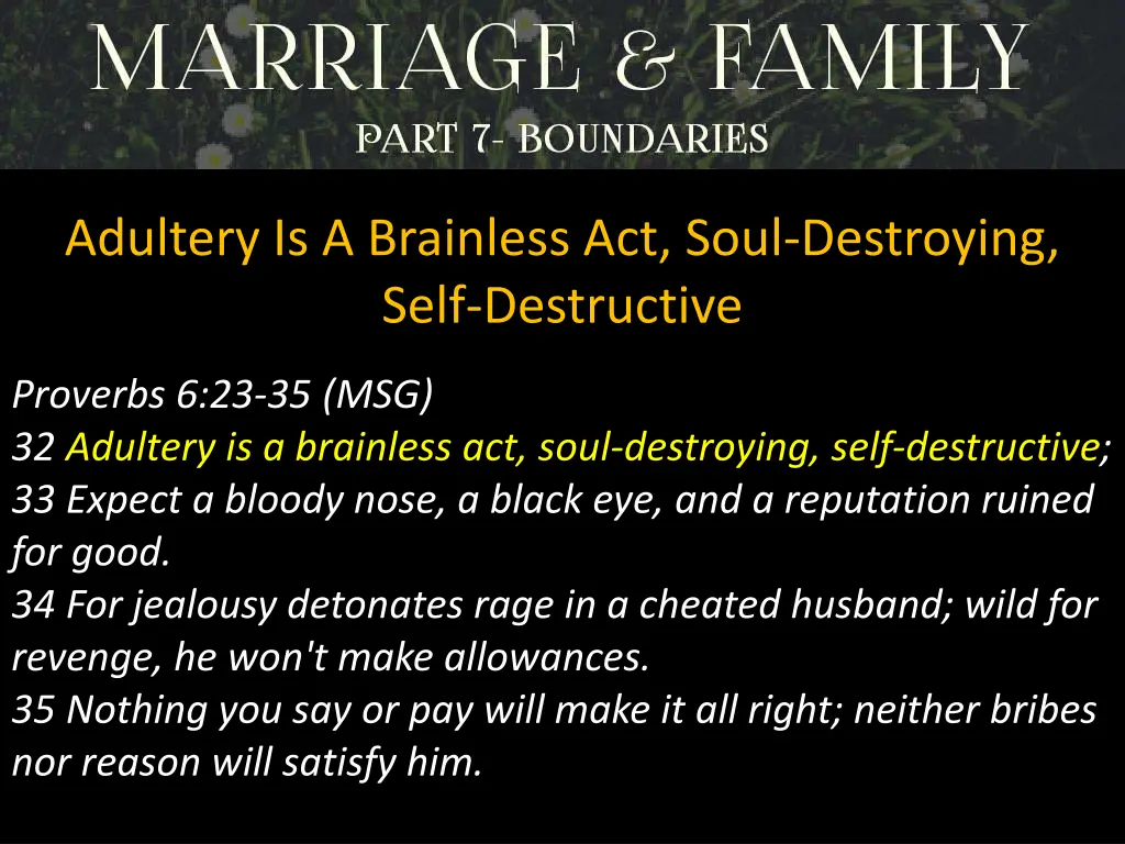 adultery is a brainless act soul destroying self 2