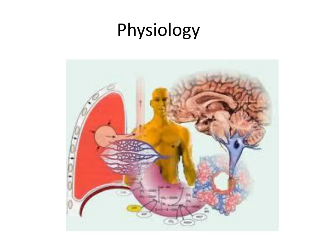 physiology