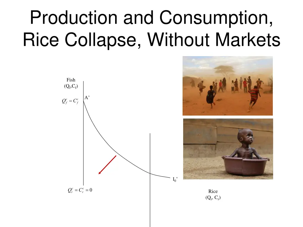 production and consumption rice collapse without