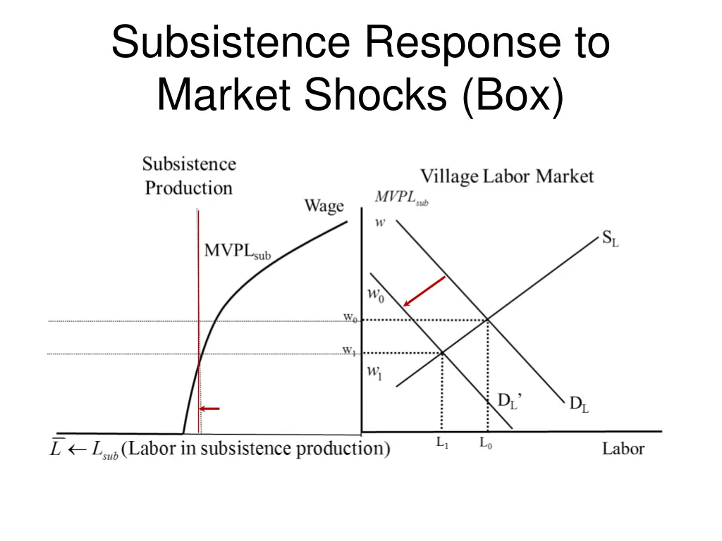 subsistence response to market shocks box 1