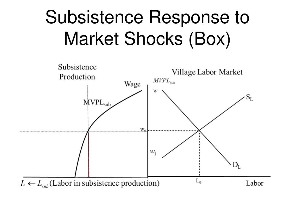 subsistence response to market shocks box